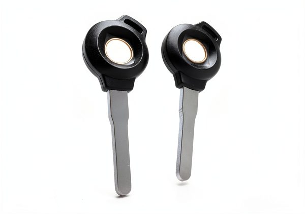 Continental GT 650 Brake Support Keys-0