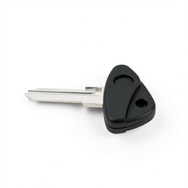 BMW Motorcycle Key Replacement YINETTECH ABS Plastic-5